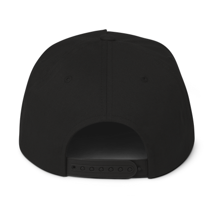 MalWear  Apparel flat bill cap back view - adjustable snapback closure, infosec streetwear headwear 3D mock-up